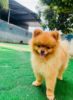 photo of Stephanie M.