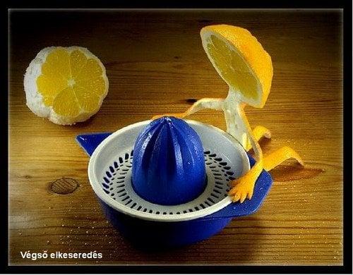 Photo of food s.
