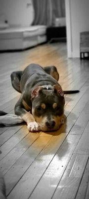 Photo of Stephanie S.