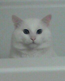 photo of Mathilde H.