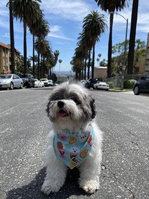 photo of Caroline A.