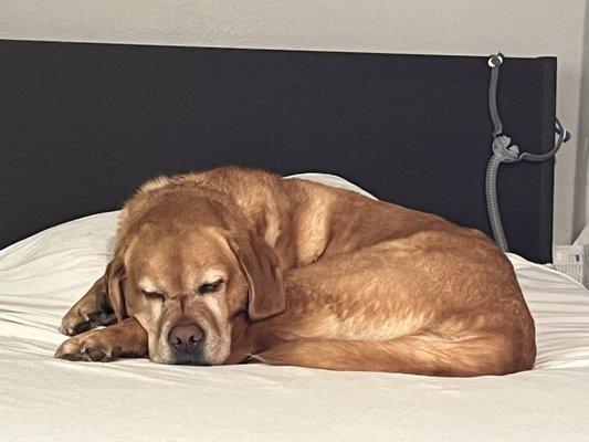 photo of Benjamin W.