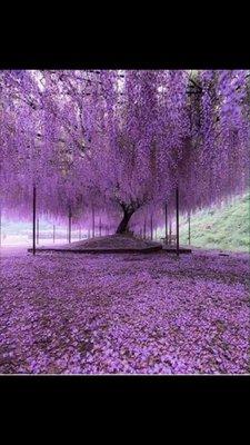 photo of Catherine N.