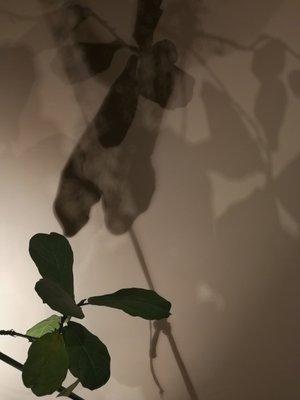 Photo of Vita H.
