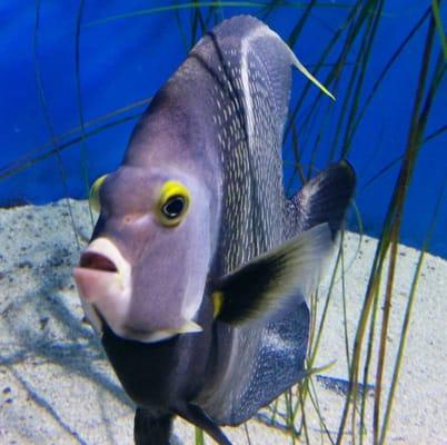 Photo of Carbfriendly T.