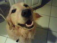 Photo of Reenie Z.