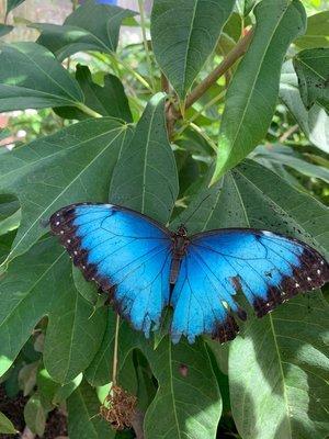 photo of Mechelle B.