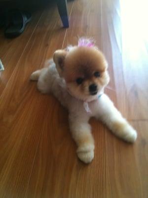 Photo of MuffyDuffy D.