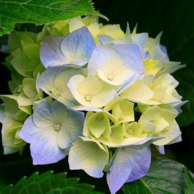 photo of Steffany W.