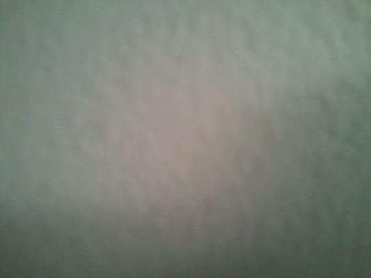 Photo of Emma M.