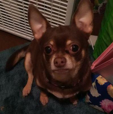 Photo of Priscilla R.