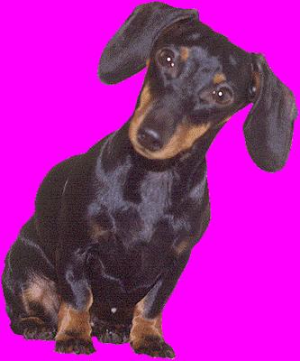 Photo of Yadira R.