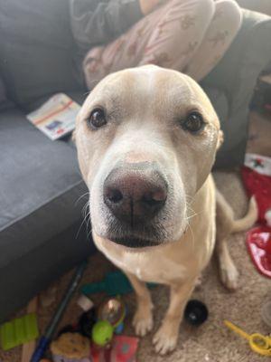 photo of Courtney K.