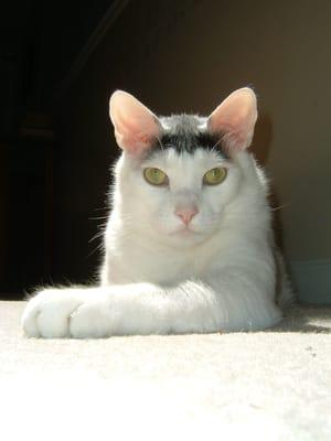 photo of Heidi M.