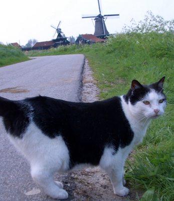 photo of Jennifer H.