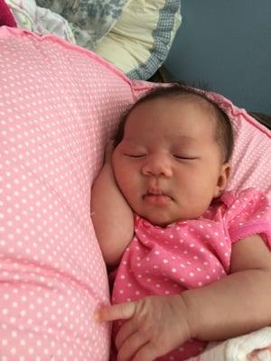 Photo of Rothana T.