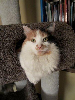 photo of Cassandra E.