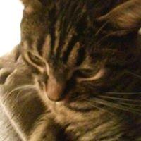 Photo of Sue S.