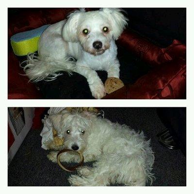 Photo of Windlyne D.