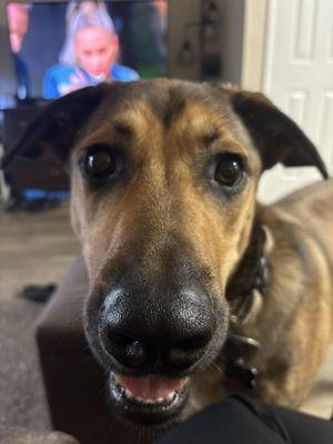 Photo of Elizabeth M.