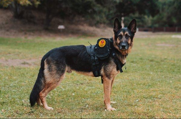 photo of Kimberly C.