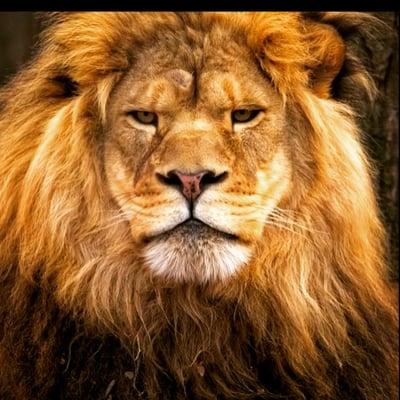 Photo of Favritzio M.