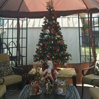 photo of Angelica M.