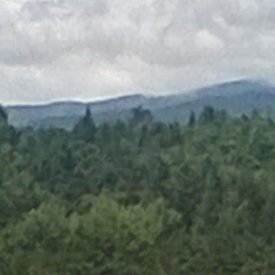 Photo of Mike B.