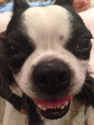 photo of Chandler Y.