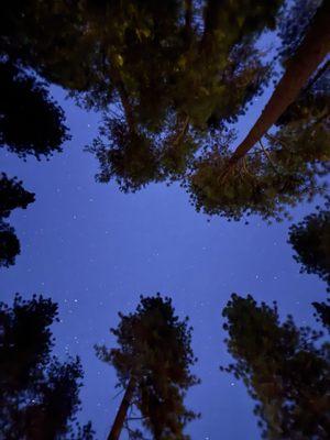 photo of Stephanie G.