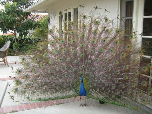 photo of Clarissa L.