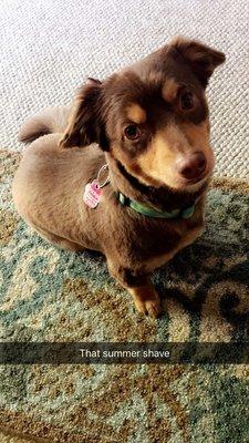 photo of Samantha S.