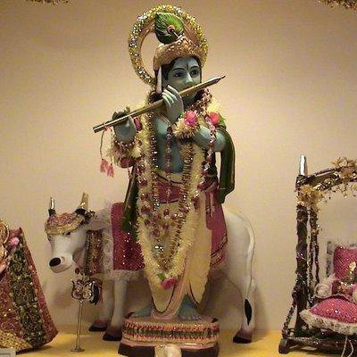 Photo of Bharat M.