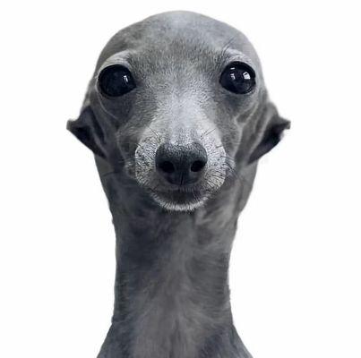 photo of Scarlett Elizabeth C.