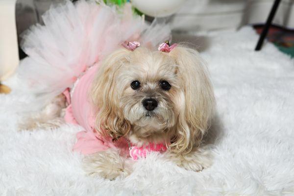 photo of Jennifer-jo M.