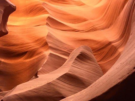 photo of Charmaine M.