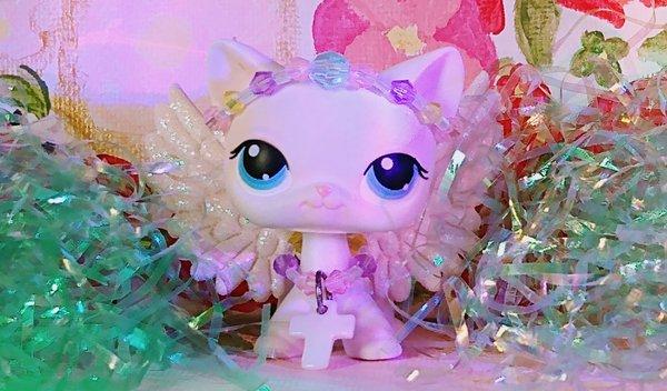 Photo of Lps Angel E.