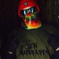 Photo of Joey P.