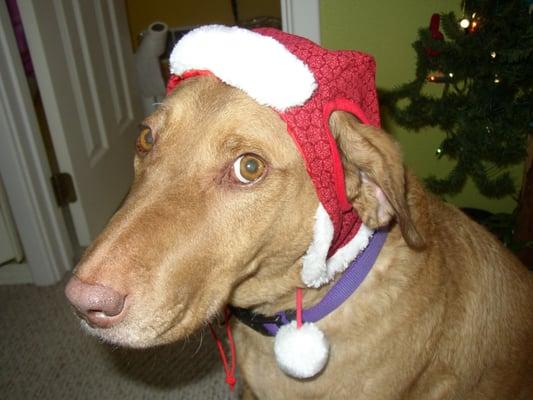 photo of Maudelle C.