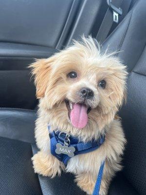 photo of Anne Marie B.