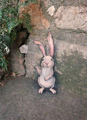 photo of Charleen H.