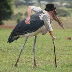 photo of Boudreaux G.