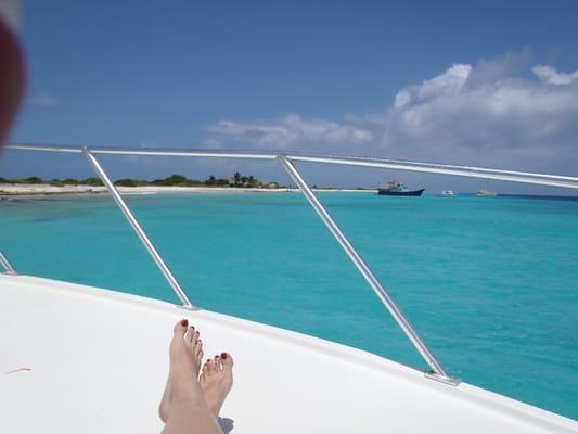 photo of Cal Girl N.