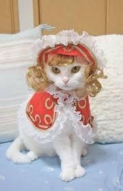 Photo of Violet P.