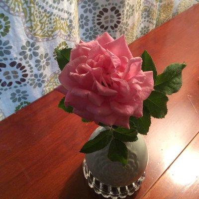 photo of Charlotte U.