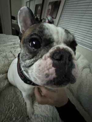 Photo of gavin m.