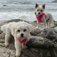 photo of Elizabeth W.