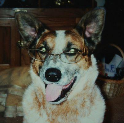 Photo of Carol P.