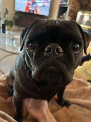 photo of Victoria R.