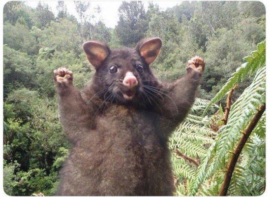 photo of Kiersten Q.